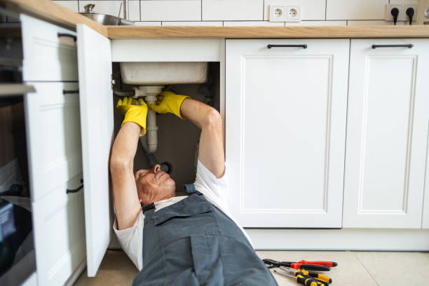 Best Clogged Drain Plumber  in Buchanan, GA
